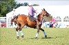 UKPA NC SAT_2321